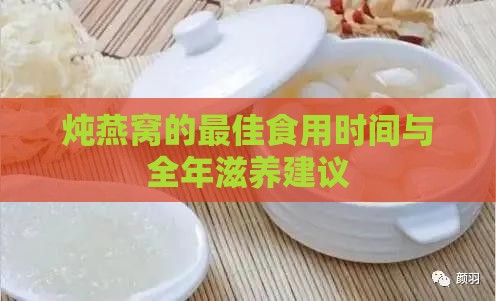 炖燕窝的更佳食用时间与全年滋养建议