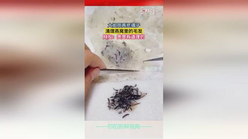 买燕窝去毛的镊子叫什么名称来着？