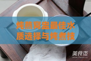 炖燕窝盅更佳水质选择与炖煮技巧：全面解析如何提升燕窝口感与营养价值