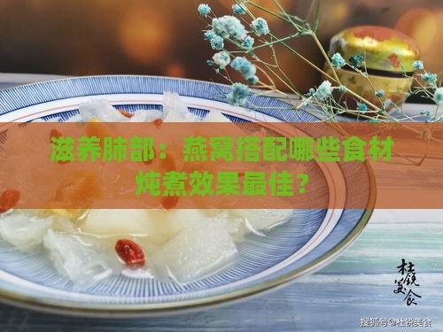 滋养肺部：燕窝搭配哪些食材炖煮效果更佳？