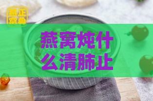 燕窝炖什么清肺止痰润肺效果更佳