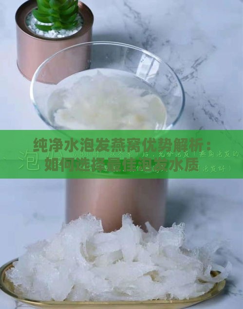 纯净水泡发燕窝优势解析：如何选择更佳泡发水质