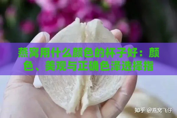 燕窝用什么颜色的杯子好：颜色、美观与正确色泽选择指南