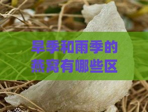 旱季和雨季的燕窝有哪些区别：营养价值、价格差异与季节性特点对比