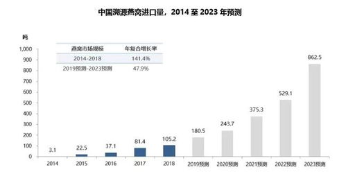 燕窝更佳食用时间指南：全天候时段效果分析及建议