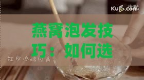 燕窝泡发技巧：如何选择泡燕窝的更佳水质与处理方法