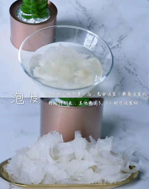 燕窝泡发技巧：如何选择泡燕窝的更佳水质与处理方法