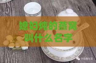 媳妇炖的燕窝叫什么名字