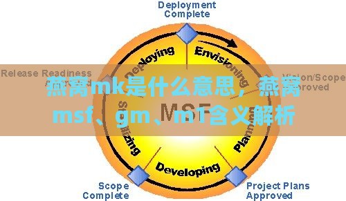 燕窝mk是什么意思，燕窝msf、gm、m1含义解析