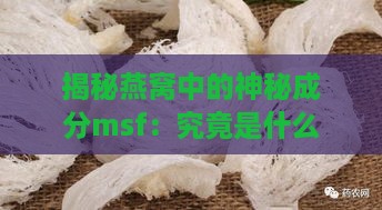 揭秘燕窝中的神秘成分msf：究竟是什么让它如此独特？