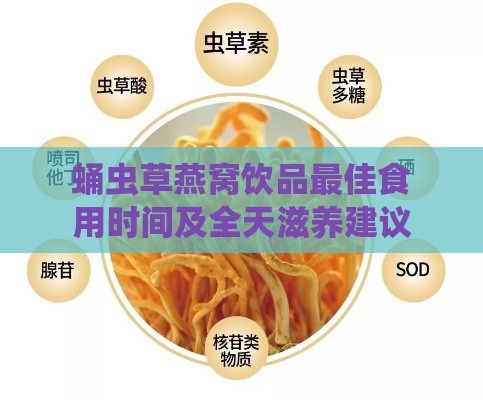 蛹虫草燕窝饮品更佳食用时间及全天滋养建议