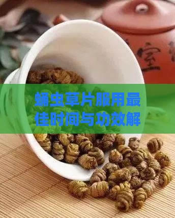 蛹虫草片服用更佳时间与功效解析