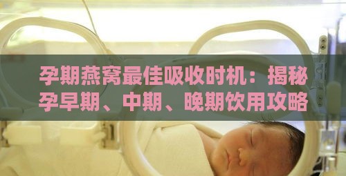 孕期燕窝更佳吸收时机：揭秘孕早期、中期、晚期饮用攻略