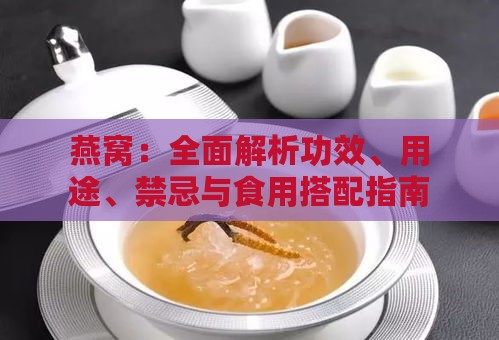 燕窝：全面解析功效、用途、禁忌与食用搭配指南