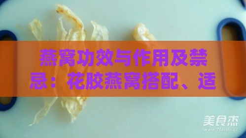 燕窝功效与作用及禁忌：花胶燕窝搭配、适用人群与禁忌症综述