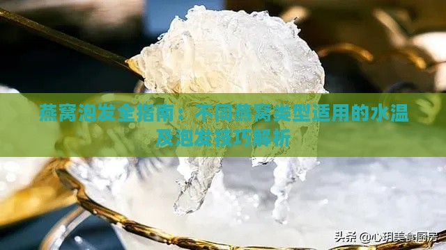 燕窝泡发全指南：不同燕窝类型适用的水温及泡发技巧解析