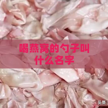 喝燕窝的勺子叫什么名字