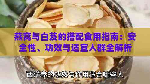 燕窝与白芨的搭配食用指南：安全性、功效与适宜人群全解析