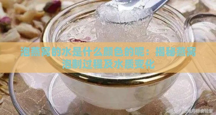 泡燕窝的水是什么颜色的呢：揭秘燕窝泡制过程及水质变化