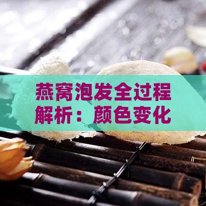 燕窝泡发全过程解析：颜色变化、泡发技巧与食用指南