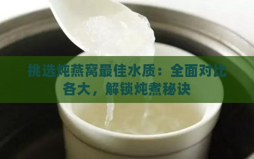 挑选炖燕窝更佳水质：全面对比各大，解锁炖煮秘诀