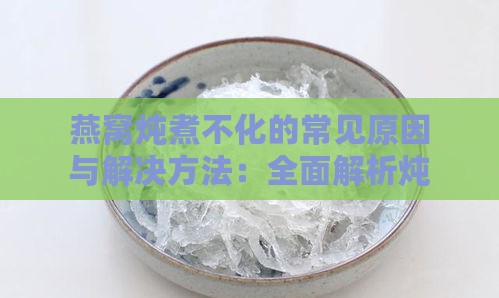 燕窝炖煮不化的常见原因与解决方法：全面解析炖煮燕窝的技巧与注意事项