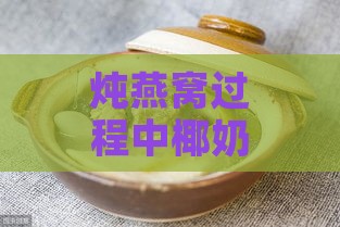 炖燕窝过程中椰奶添加的更佳时机与注意事项