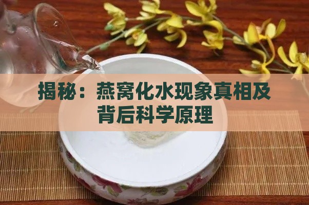 揭秘：燕窝化水现象真相及背后科学原理