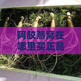 阿胶燕窝在哪里买正品且价格较贵？