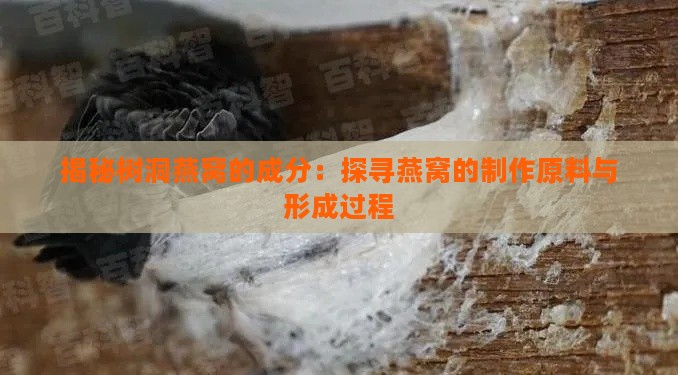 揭秘树洞燕窝的成分：探寻燕窝的制作原料与形成过程