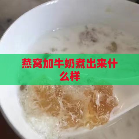 燕窝加牛奶煮出来什么样