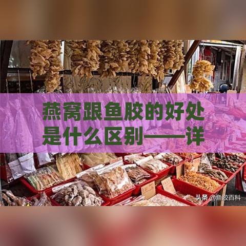 燕窝跟鱼胶的好处是什么区别——详析燕窝与鱼胶的优劣差异