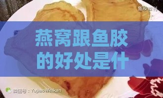 燕窝跟鱼胶的好处是什么区别——详析燕窝与鱼胶的优劣差异