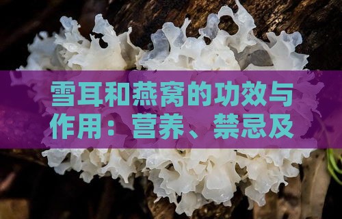 雪耳和燕窝的功效与作用：营养、禁忌及燕窝雪耳的区别