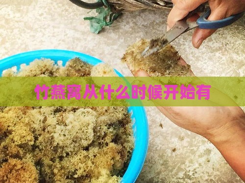 竹燕窝从什么时候开始有