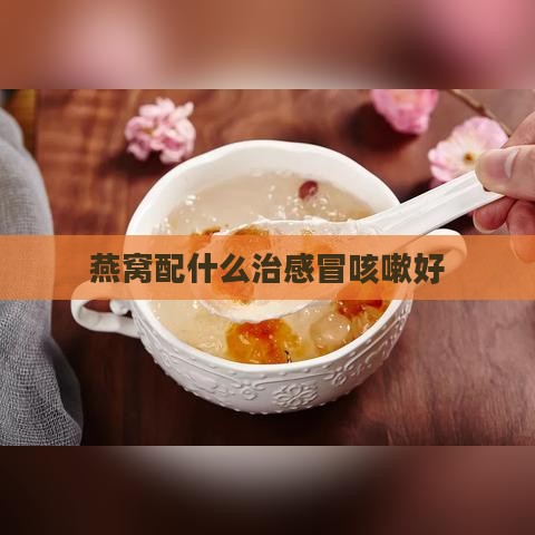 燕窝配什么治感冒咳嗽好