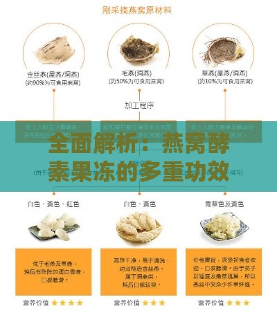 全面解析：燕窝酵素果冻的多重功效与实用指南