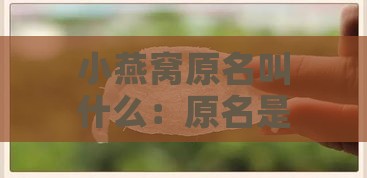 小燕窝原名叫什么：原名是什么名字来着？