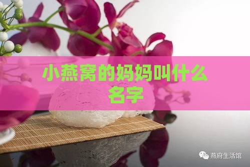 小燕窝的妈妈叫什么名字