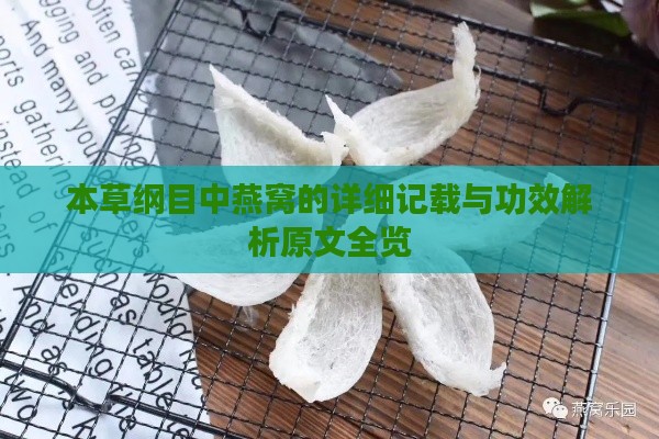 本草纲目中燕窝的详细记载与功效解析原文全览