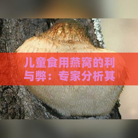 儿童食用燕窝的利与弊：专家分析其影响及适宜食用指南