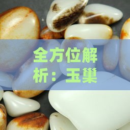 全方位解析：玉巢燕窝炖制技巧与必备窍门大揭秘