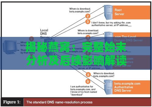 揭秘燕窝：完整始末分析及后续影响解读