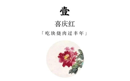 揭秘赠燕窝吉祥话背后的寓意与美好祝愿