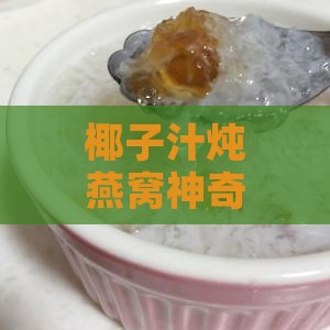 椰子汁炖燕窝神奇功效大揭秘：滋养身心多重效益