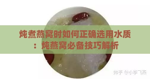 炖煮燕窝时如何正确选用水质：炖燕窝必备技巧解析