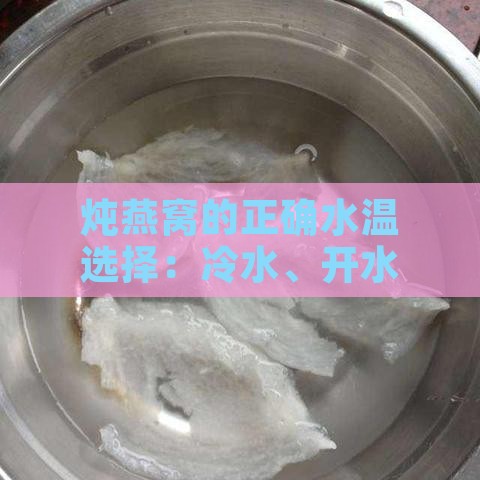 炖燕窝的正确水温选择：冷水、开水还是温水的使用指南与技巧