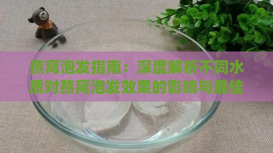 燕窝泡发指南：深度解析不同水质对燕窝泡发效果的影响与更佳选择