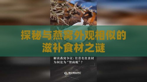 探秘与燕窝外观相似的滋补食材之谜