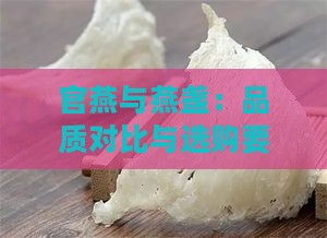 官燕与燕盏：品质对比与选购要点解析